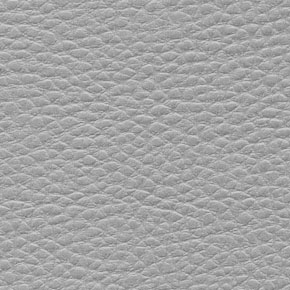 BG10110