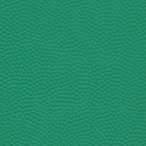BG.52121

